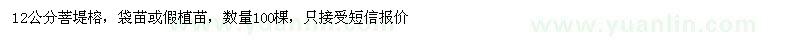 求購12公分菩堤榕