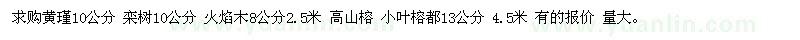 求購黃瑾、欒樹、 火焰木、 高山榕
