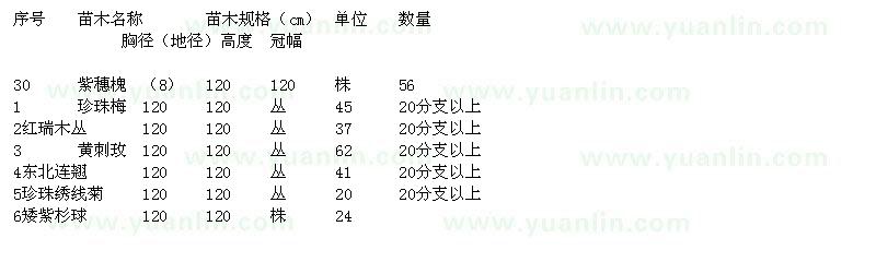 求購山東遼寧河北地區(qū)紫穗槐珍珠梅紅瑞木黃刺玫連翹珍珠繡線菊等