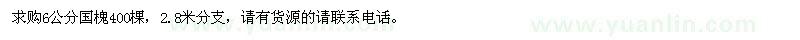 求購6公分國槐