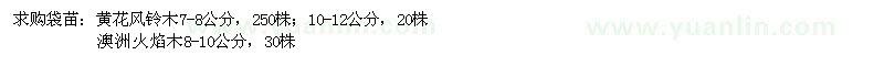 求購黃花風(fēng)鈴木、澳洲火焰木
