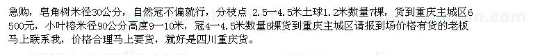 求購(gòu)皂角樹