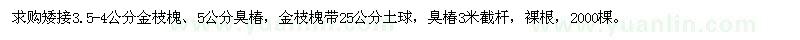 求購金枝槐,臭椿