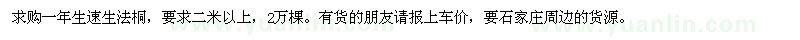 求購一年生速生法桐，要求二米以上，2萬棵