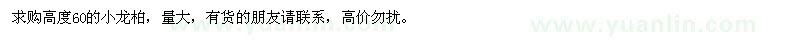 求購(gòu)高度60的小龍柏 