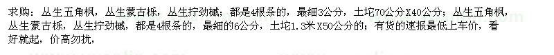 求購(gòu)叢生五角楓，叢生蒙古櫟，叢生擰勁槭