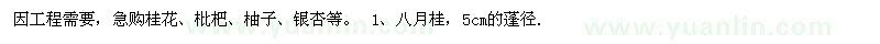 求購緊急桂花、枇杷、柚子、銀杏等