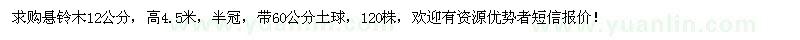 求購懸鈴木