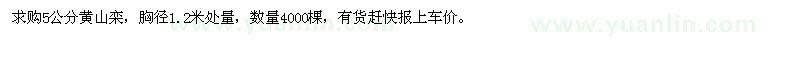 求購(gòu)5公分黃山欒，胸徑1.2米處量