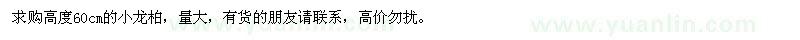 求購高度60cm的小龍柏