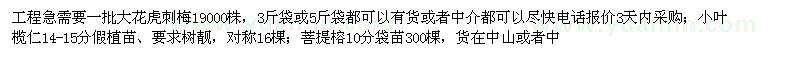 求購大花虎刺梅,小葉欖仁,菩提榕