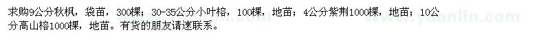 求購(gòu)秋楓,小葉榕,紫荊,高山榕