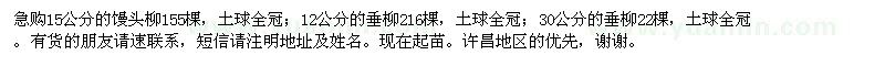 求購饅頭柳,垂柳