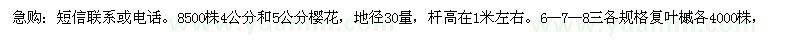 求購(gòu)8500株4公分和5公分櫻花，復(fù)葉槭 