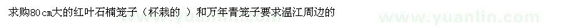 求購80cm大的紅葉石楠籠子和萬年青籠子