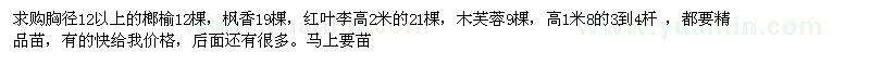 求購榔榆，楓香，紅葉李，木芙蓉
