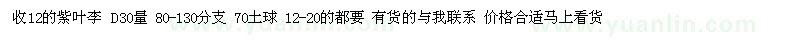 求購12的紫葉李 D30量 80-130分支 70土球
