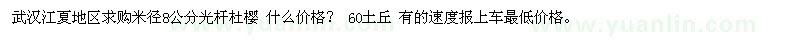求購米徑8公分光桿杜櫻