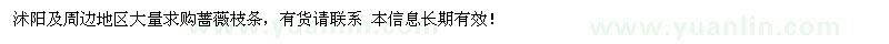 求購沭陽及周邊地區(qū)大量薔薇枝條