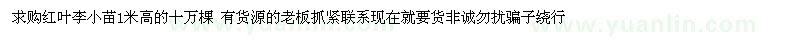 求購紅葉李小苗1米高的十萬棵