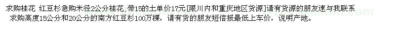 求購桂花 紅豆杉