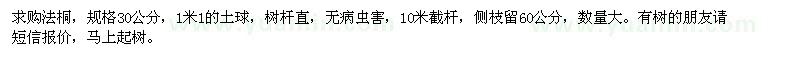 求購法桐