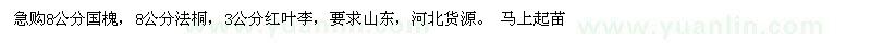 求購8公分國槐，8公分法桐，3公分紅葉李