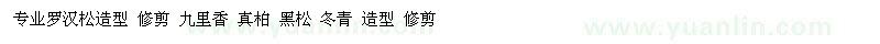 求購(gòu)專(zhuān)業(yè)羅漢松造型