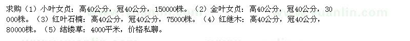 求購小葉女貞 金葉女貞 紅葉石楠 紅繼木 結(jié)縷草