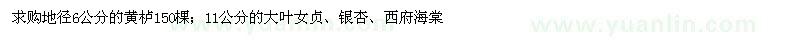 求購(gòu)黃櫨、大葉女貞、銀杏、西府海棠