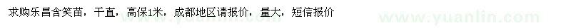 求購樂昌含笑苗，干直，高保1米