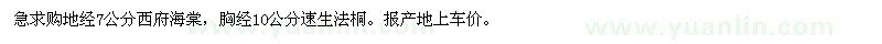 求購西府海棠、速生法桐