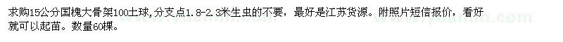 求購15公分國槐