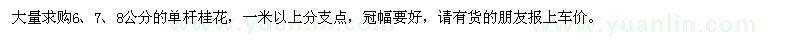 求購6,7,8公分的單桿桂花
