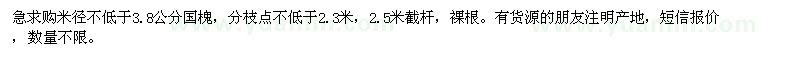 求購米徑不低于3.8公分國槐