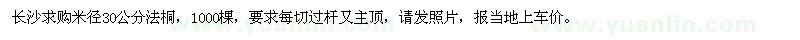 求購米徑30公分法桐