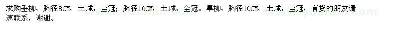 求購垂柳,旱柳