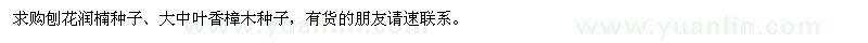 求購刨花潤楠種子,香樟種子