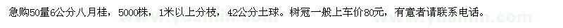 求購急50量6公分八月桂