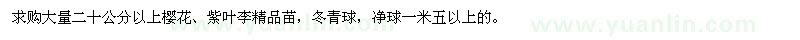 求購(gòu)櫻花、紫葉李、冬青球 