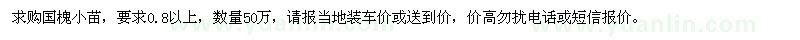 求購國槐小苗