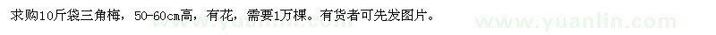 求購50-60cm高三角梅
