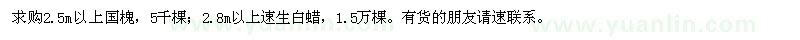 求購(gòu)2.5m以上國(guó)槐,2.8m以上速生白蠟