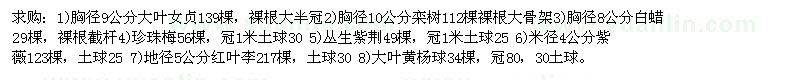 求購大葉女貞、欒樹、白蠟、珍珠梅、叢生紫荊、紫薇、紅葉李、大葉黃楊球