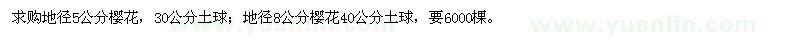 求購5和8公分的櫻花