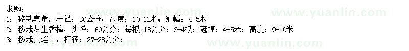求購(gòu)皂角,黃連木,多頭香樟