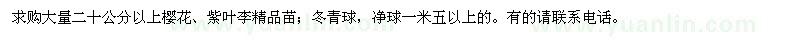 求購櫻花,紫葉李,冬青球