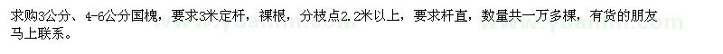 求購3-6公分國槐