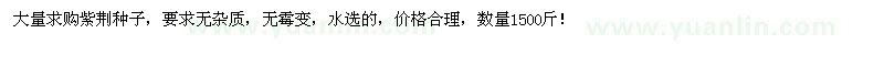 求購紫荊種子 