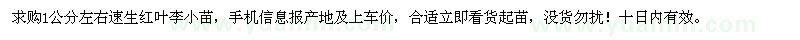 求購(gòu)1公分左右速生紅葉李小苗 